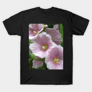 Pink Beauties T-Shirt